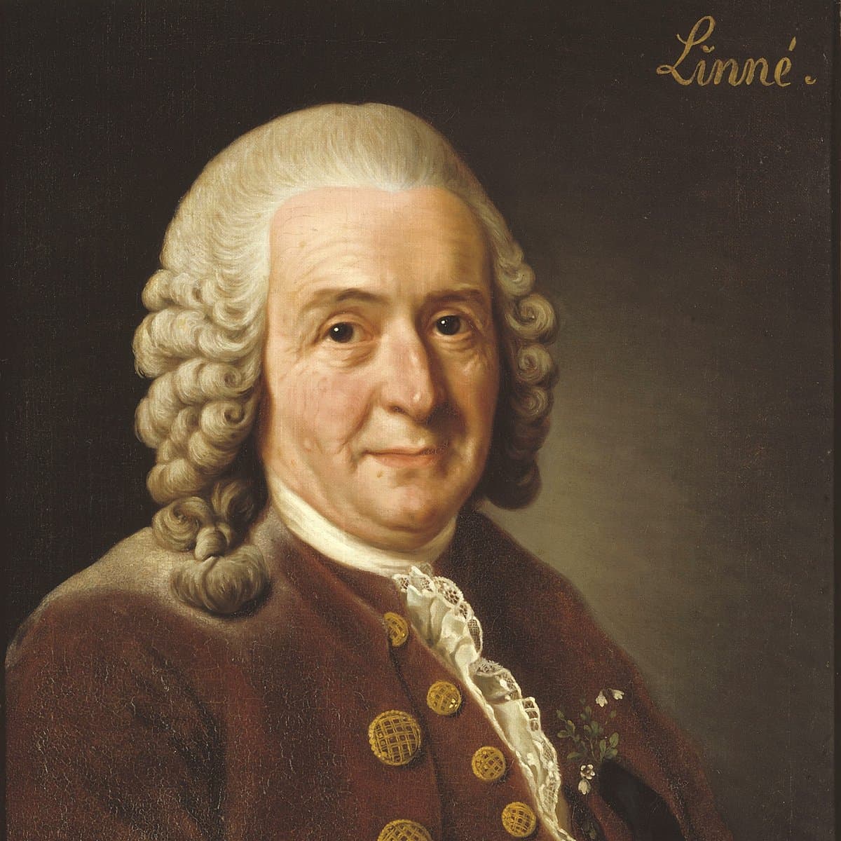 image-icon